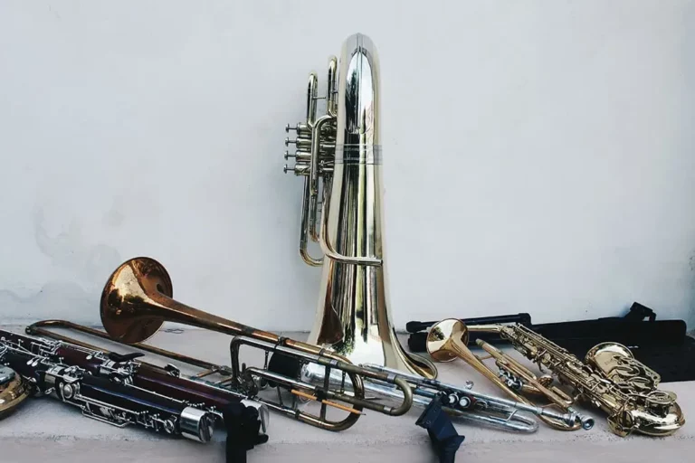 Foto de instrumentos de sopro para ilustrar esta categoria de estojos para instrumentos de sopro.